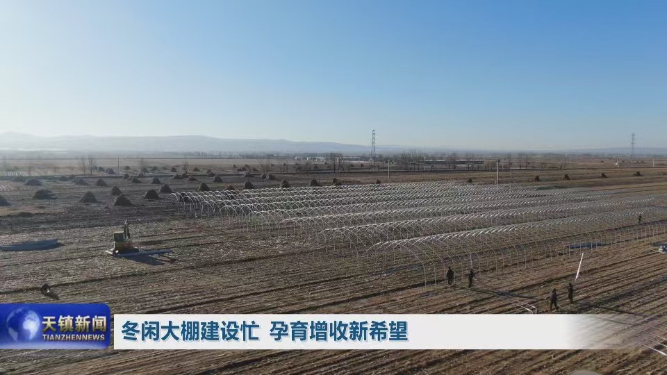 冬閑大棚建設忙 孕育增收新希望